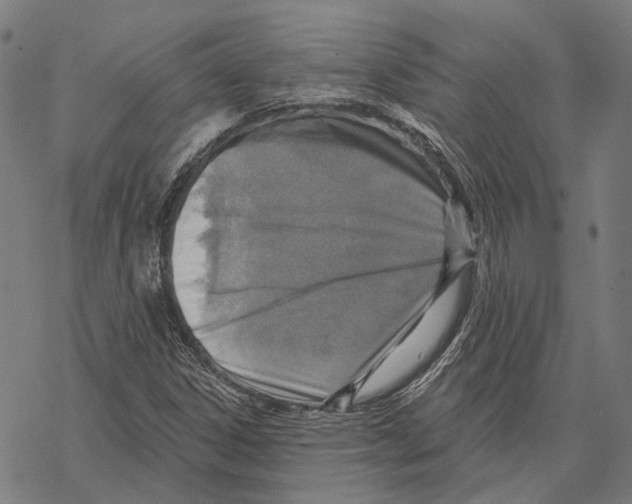 X0000067471306200605051637