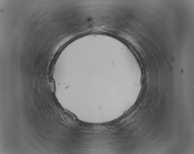 X0000067471308200605051637