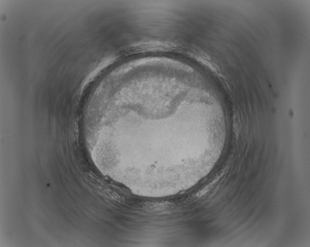 X0000067471309200605051637