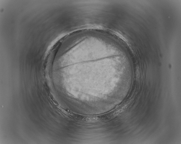 X0000067471310200605051637