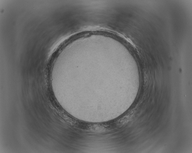 X0000067471311200605051637