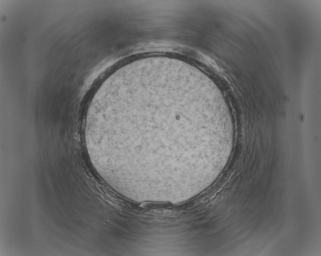 X0000067471312200605051637