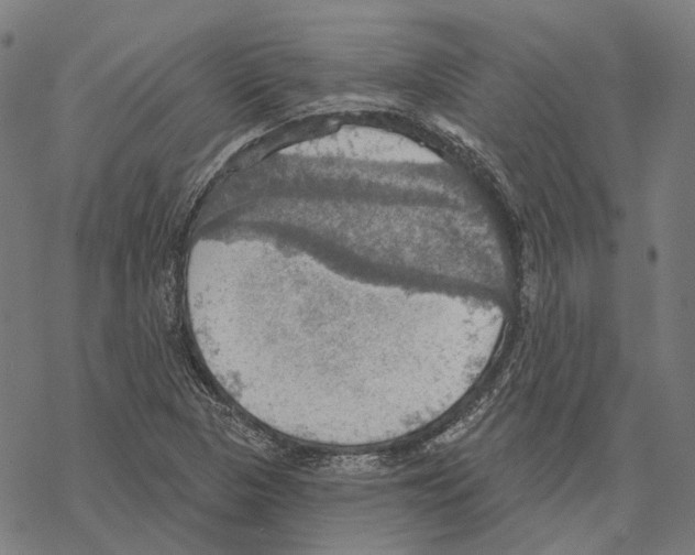 X0000067471313200605051637