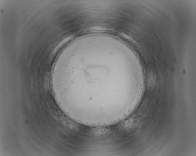 X0000067471314200605051637