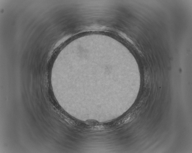 X0000067471315200605051637