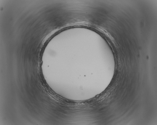 X0000067471316200605051637