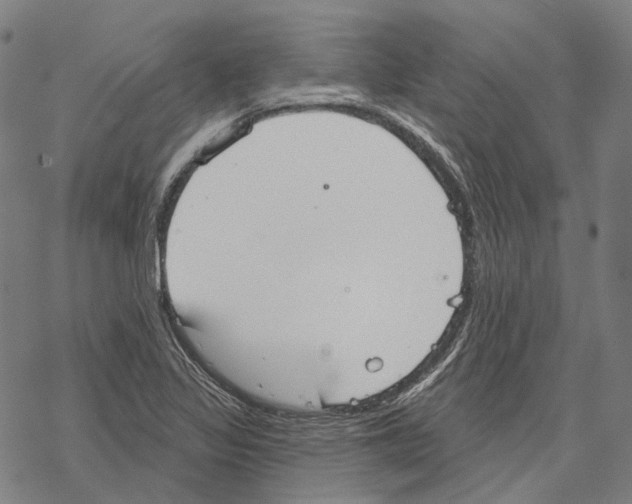 X0000067471317200605051637