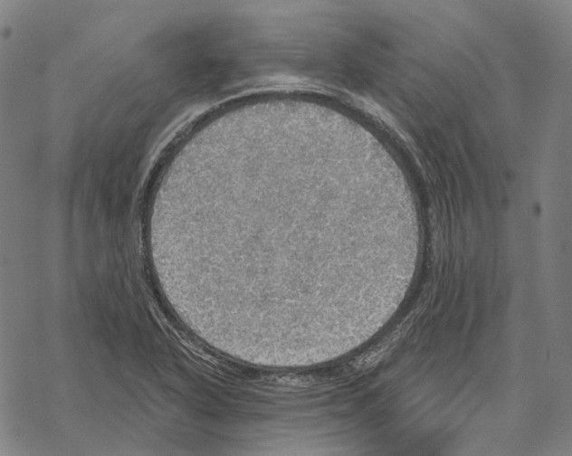 X0000067471318200605051637