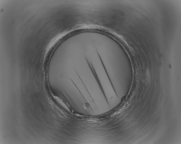 X0000067471319200605051637