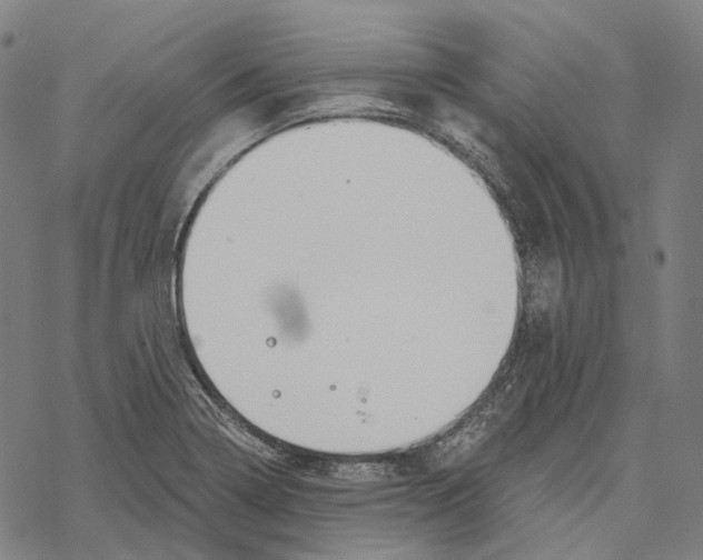 X0000067471322200605051637