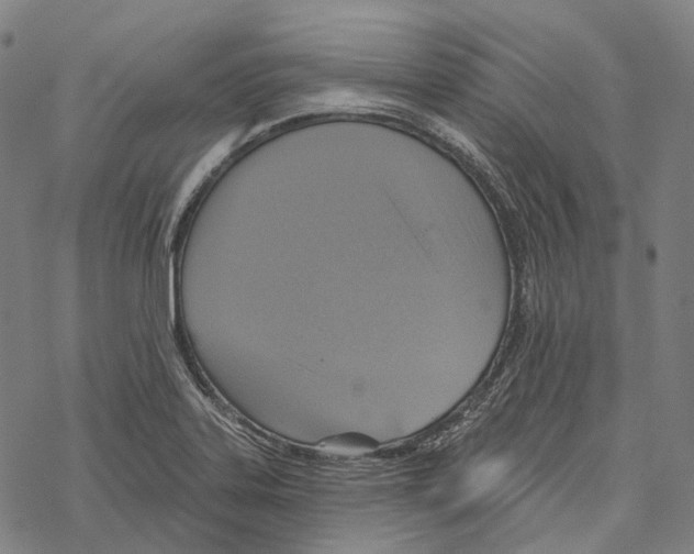 X0000067471323200605051637