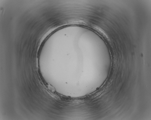 X0000067471324200605051637