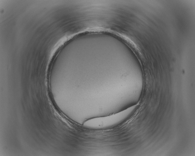 X0000067471327200605051637