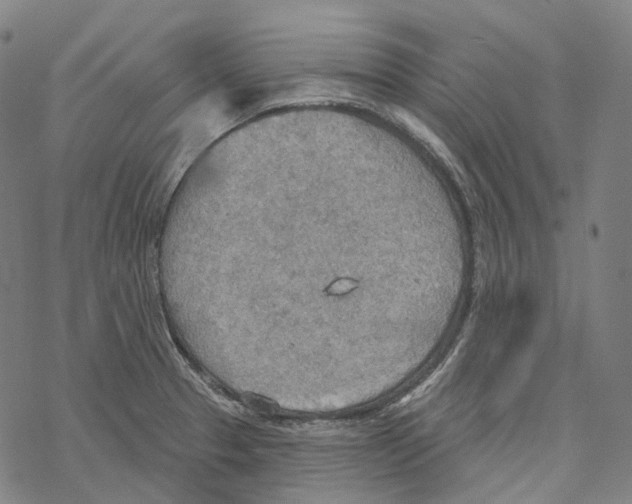 X0000067471329200605051637