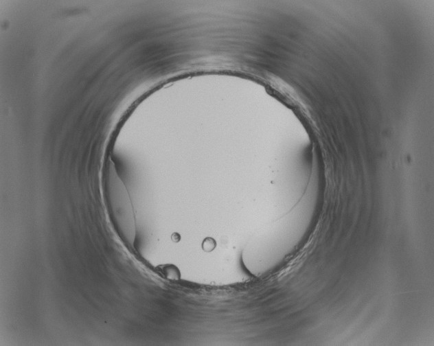 X0000067471334200605051637