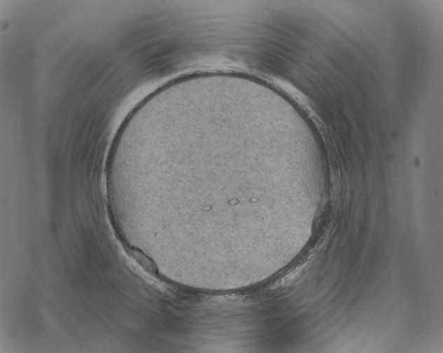 X0000067471335200605051637