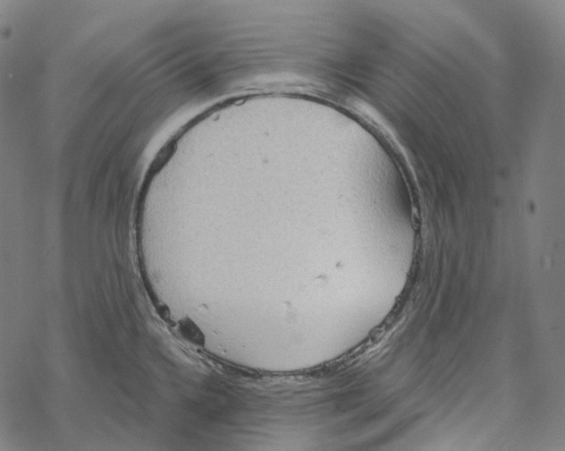 X0000067471336200605051637