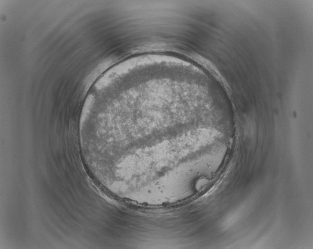 X0000067471337200605051637