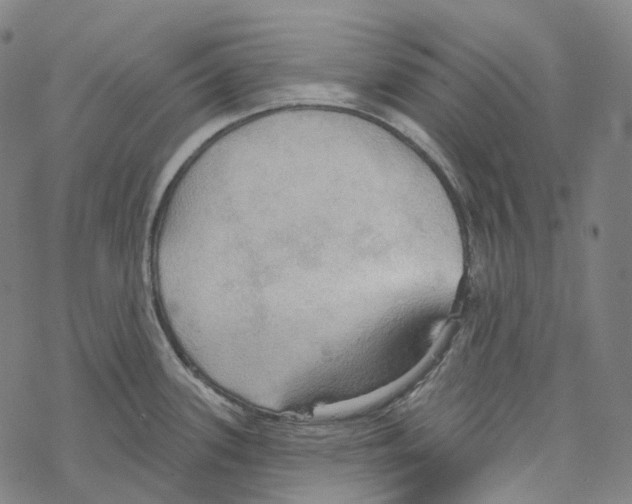 X0000067471339200605051637