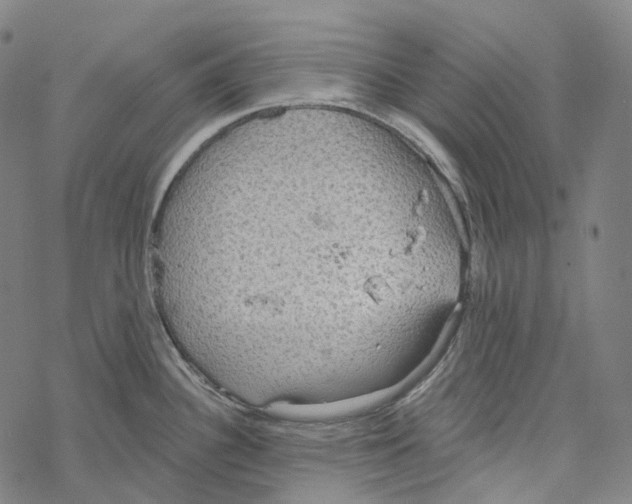 X0000067471340200605051637