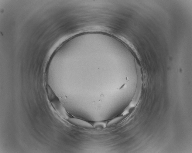 X0000067471342200605051637