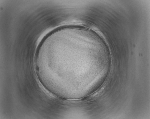 X0000067471344200605051637