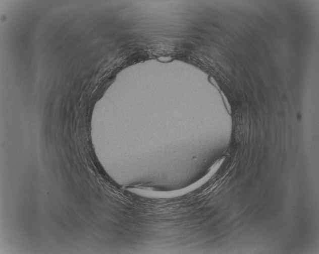 X0000067471345200605051637