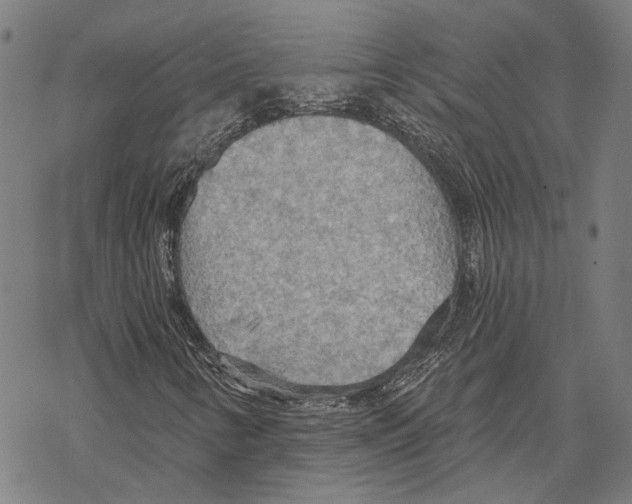 X0000067471346200605051637