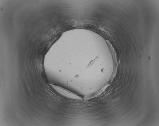 X0000067471348200605051637