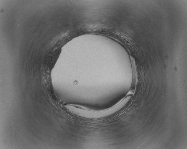 X0000067471349200605051637