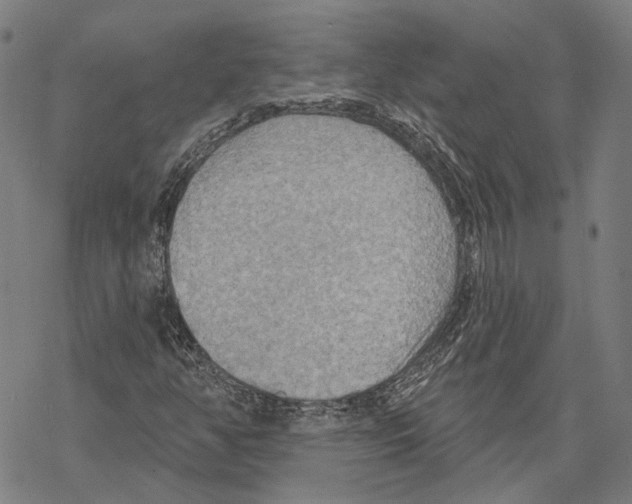 X0000067471350200605051637