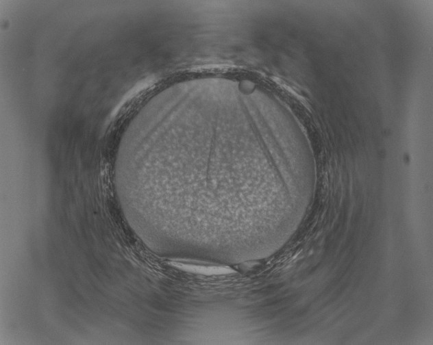 X0000067471351200605051637