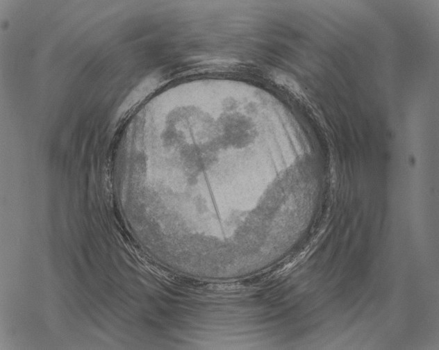 X0000067471354200605051636