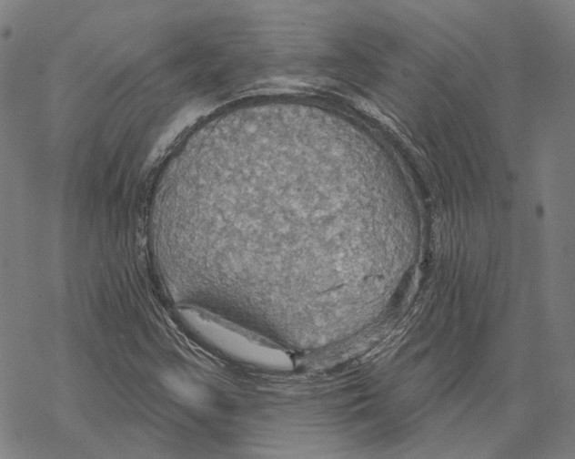 X0000067471355200605051636