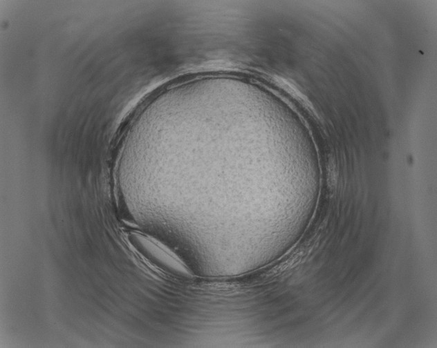 X0000067471356200605051636