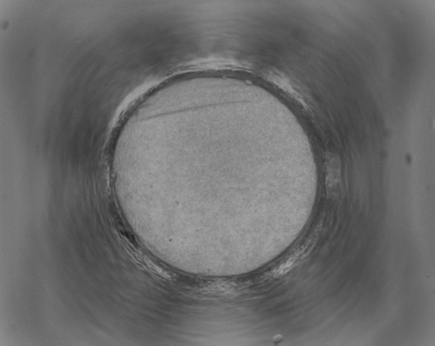 X0000067471358200605051636