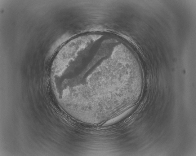 X0000067471359200605051636