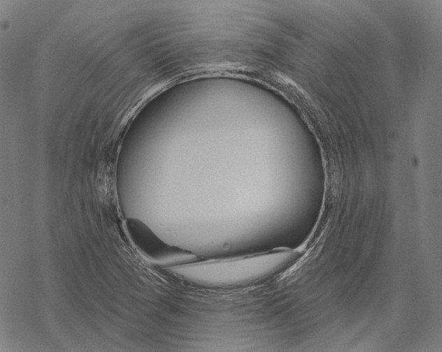 X0000067471361200605051636