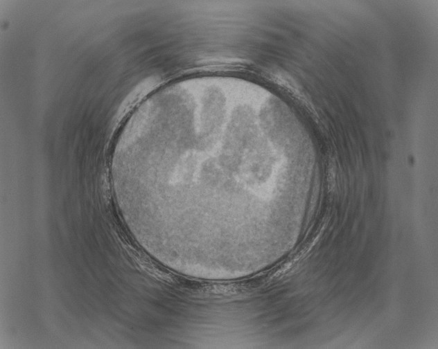 X0000067471362200605051636