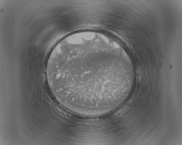 X0000067471363200605051636