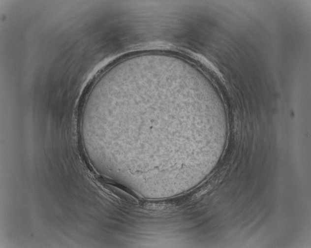 X0000067471364200605051636