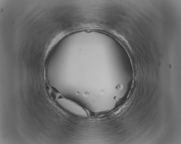 X0000067471365200605051636