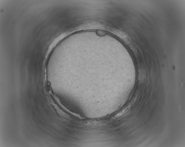 X0000067471366200605051636