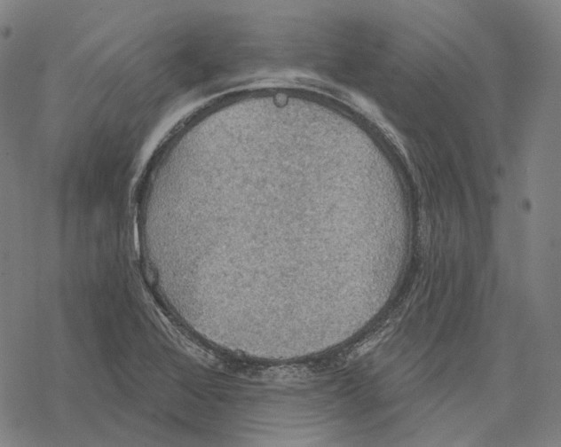 X0000067471368200605051636