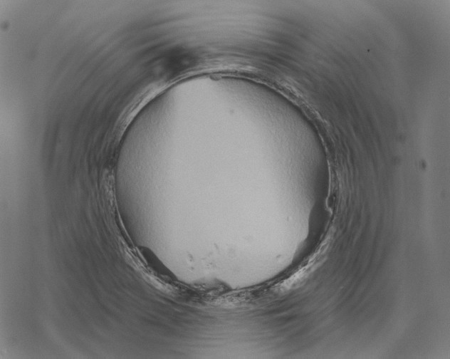 X0000067471369200605051636