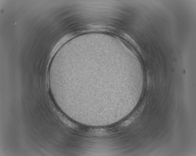 X0000067471370200605051636