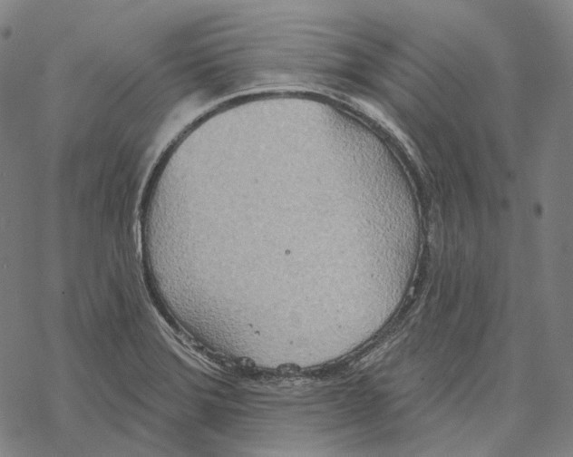 X0000067471372200605051636