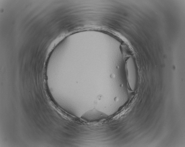 X0000067471373200605051636