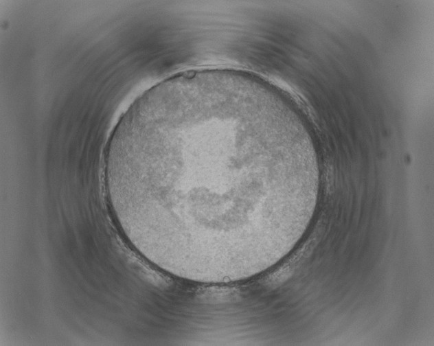 X0000067471374200605051636