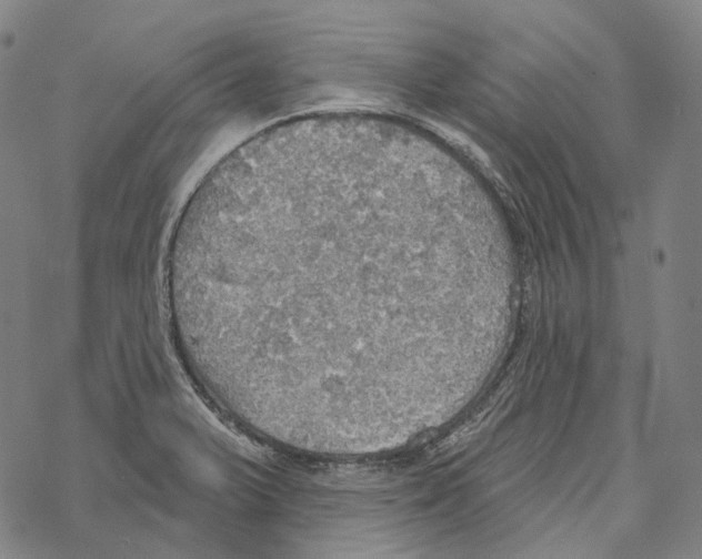 X0000067471375200605051636